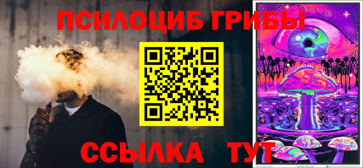 Псилоцибиновые грибы MAGIC MUSHROOMS  Вход с VPN  Карачаевск  Псилоцибиновые грибы мицелий 