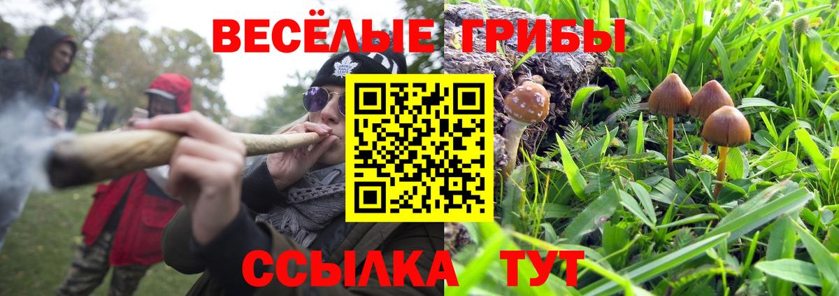 Псилоцибиновые грибы Magic Shrooms Карачаевск