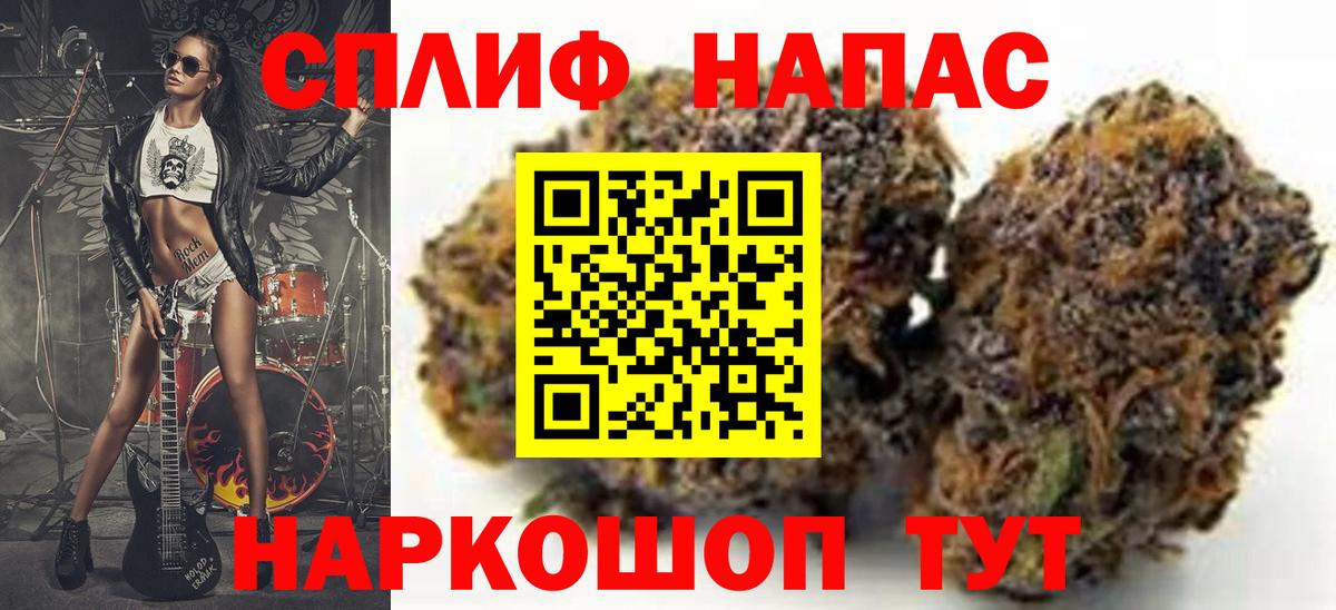 МАРИХУАНА конопля Карачаевск
